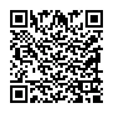 QR-code voor telefoonnummer +2399910919