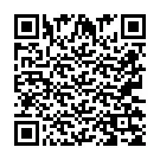 QR Code pour le numéro de téléphone +2673135573