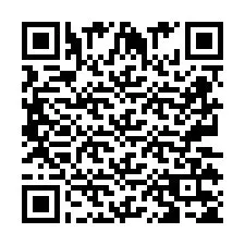 QR-code voor telefoonnummer +2673135578