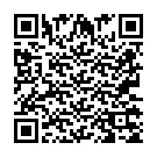 QR Code pour le numéro de téléphone +2673135593