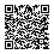 QR Code pour le numéro de téléphone +2673135626