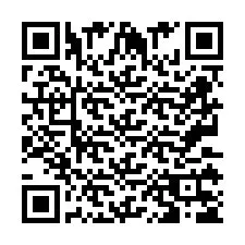 QR код за телефонен номер +2673135641