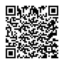 QR код за телефонен номер +2673135661