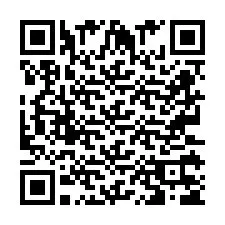 QR Code pour le numéro de téléphone +2673135686