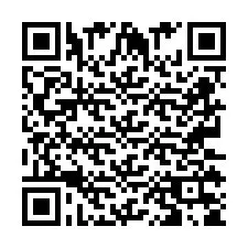 QR Code pour le numéro de téléphone +2673135866