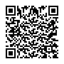 QR Code pour le numéro de téléphone +2673135869