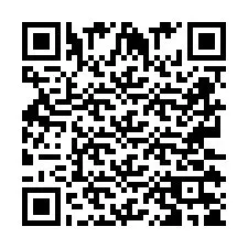 QR Code pour le numéro de téléphone +2673135936