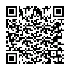 Codice QR per il numero di telefono +2673136133