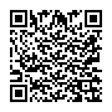 Codice QR per il numero di telefono +2673136134