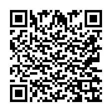 Codice QR per il numero di telefono +2673136139