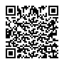 QR Code pour le numéro de téléphone +2673136142