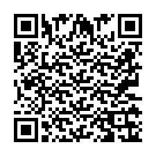 QR код за телефонен номер +2673136149