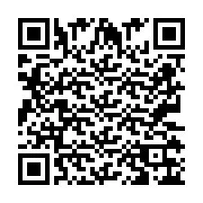 QR Code pour le numéro de téléphone +2673136229