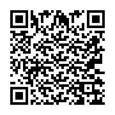 QR-code voor telefoonnummer +2673136233