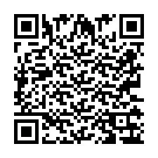 QR Code pour le numéro de téléphone +2673136312