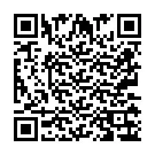 QR Code pour le numéro de téléphone +2673136314