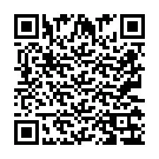 Codice QR per il numero di telefono +2673136319