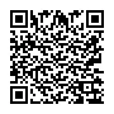 QR Code pour le numéro de téléphone +2673136324