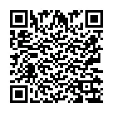 QR Code pour le numéro de téléphone +2673136328