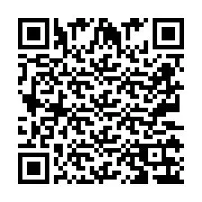 QR-code voor telefoonnummer +2673136348