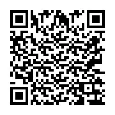 QR код за телефонен номер +2673136369