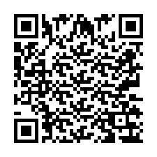 QR Code pour le numéro de téléphone +2673136374