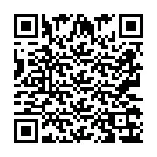 QR-code voor telefoonnummer +2673136399