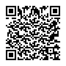 QR код за телефонен номер +2673136507