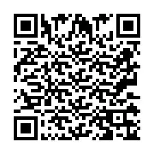 QR код за телефонен номер +2673136511