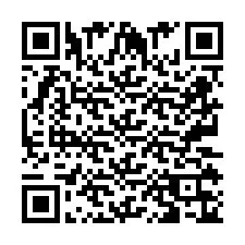 QR код за телефонен номер +2673136528