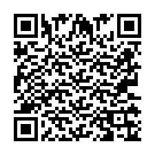 QR-код для номера телефона +2673136543