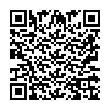 QR-код для номера телефона +2673136588