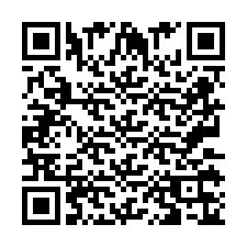 QR-код для номера телефона +2673136591