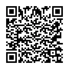 QR Code for Phone number +2673136593