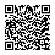 Codice QR per il numero di telefono +2673136741