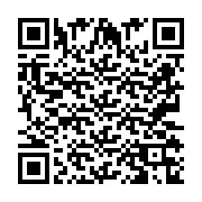 QR Code pour le numéro de téléphone +2673136839