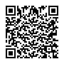 QR код за телефонен номер +2673136866