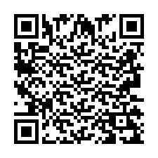 QR Code for Phone number +2693129156