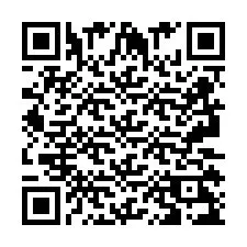 QR Code pour le numéro de téléphone +2693129228