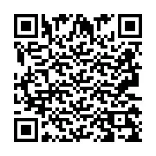 QR-koodi puhelinnumerolle +2693129519