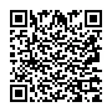 QR-Code für Telefonnummer +2693131884