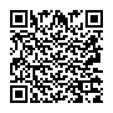 QR-код для номера телефона +2693131894