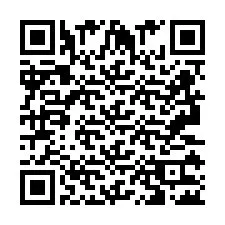 QR Code pour le numéro de téléphone +2693132209