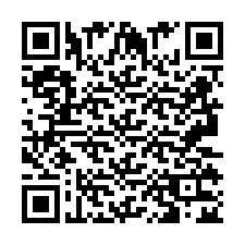 QR Code pour le numéro de téléphone +2693132469