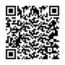 Codice QR per il numero di telefono +2693132473