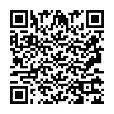 Codice QR per il numero di telefono +2693132481