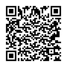 QR-Code für Telefonnummer +2693132493