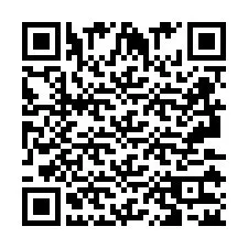 QR-код для номера телефона +2693132504