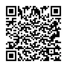 QR Code pour le numéro de téléphone +2693132525