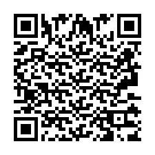 QR Code pour le numéro de téléphone +2693133800